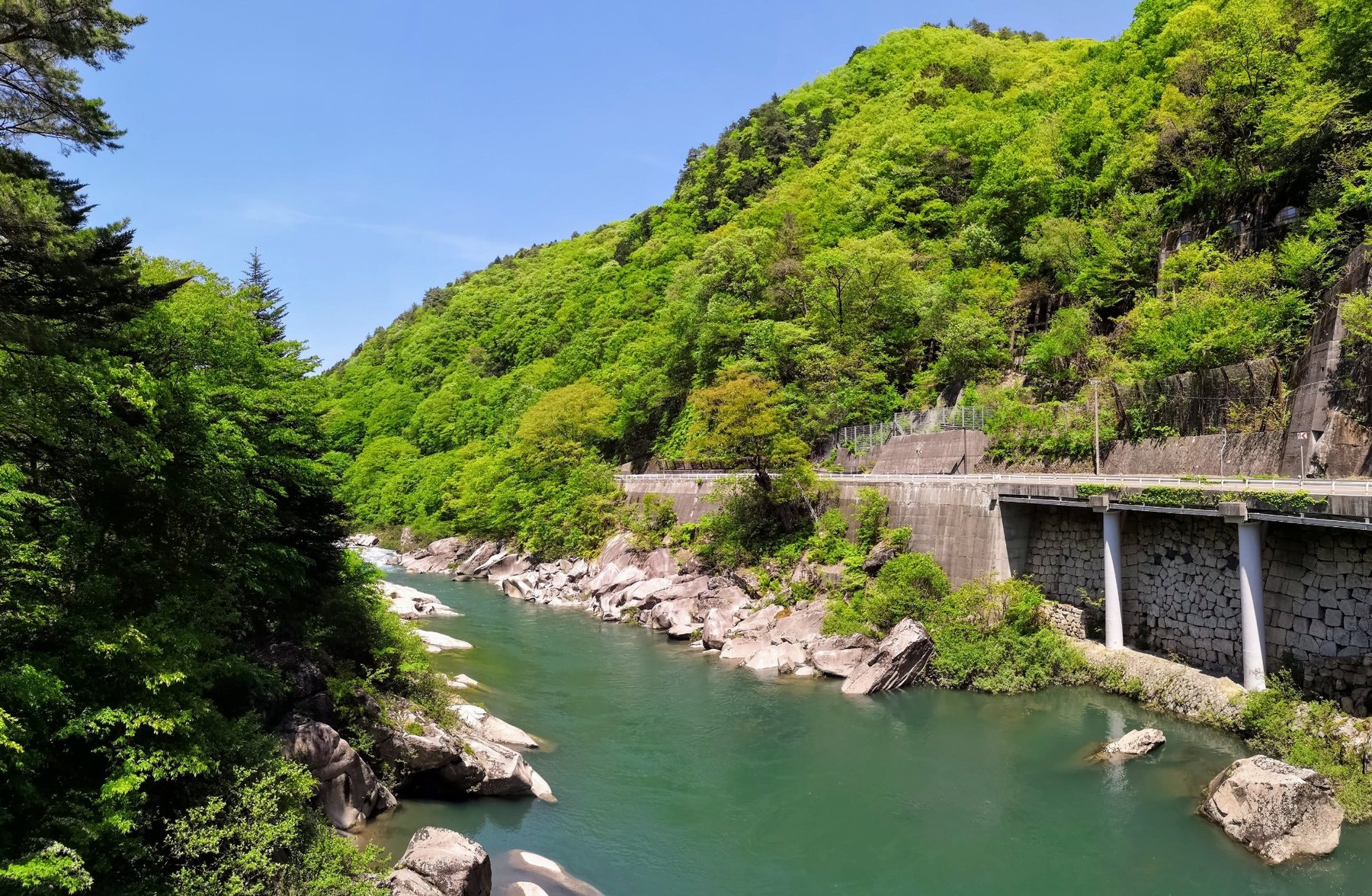 木曽の桟（新緑）